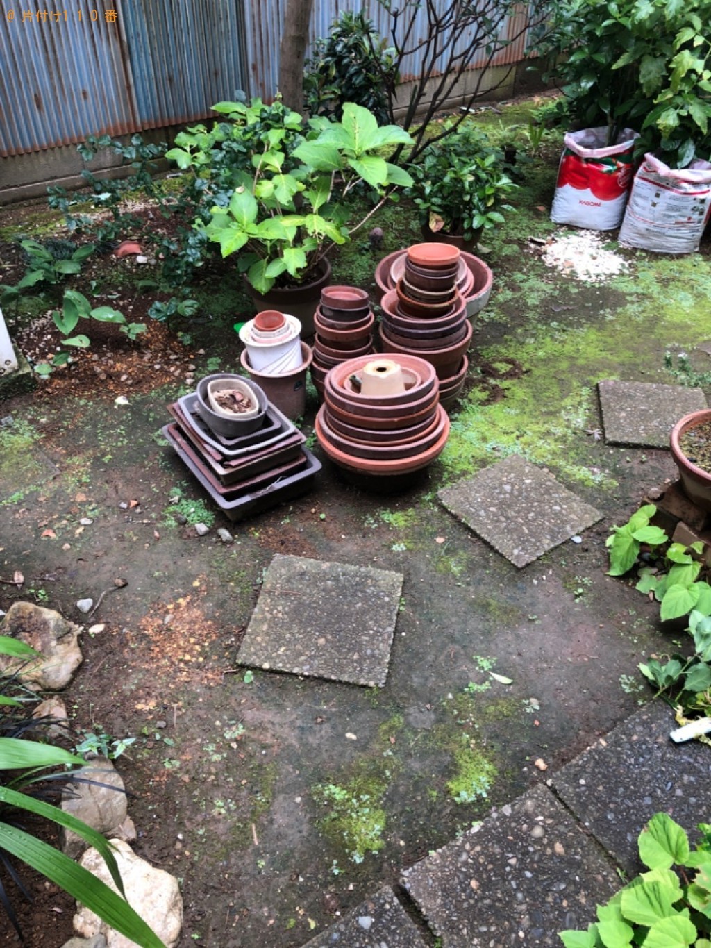 植木鉢等の回収・処分ご依頼　お客様の声